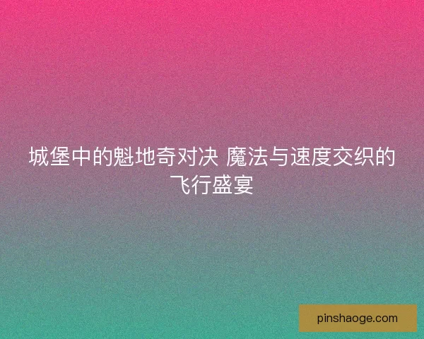 城堡中的魁地奇对决 魔法与速度交织的飞行盛宴